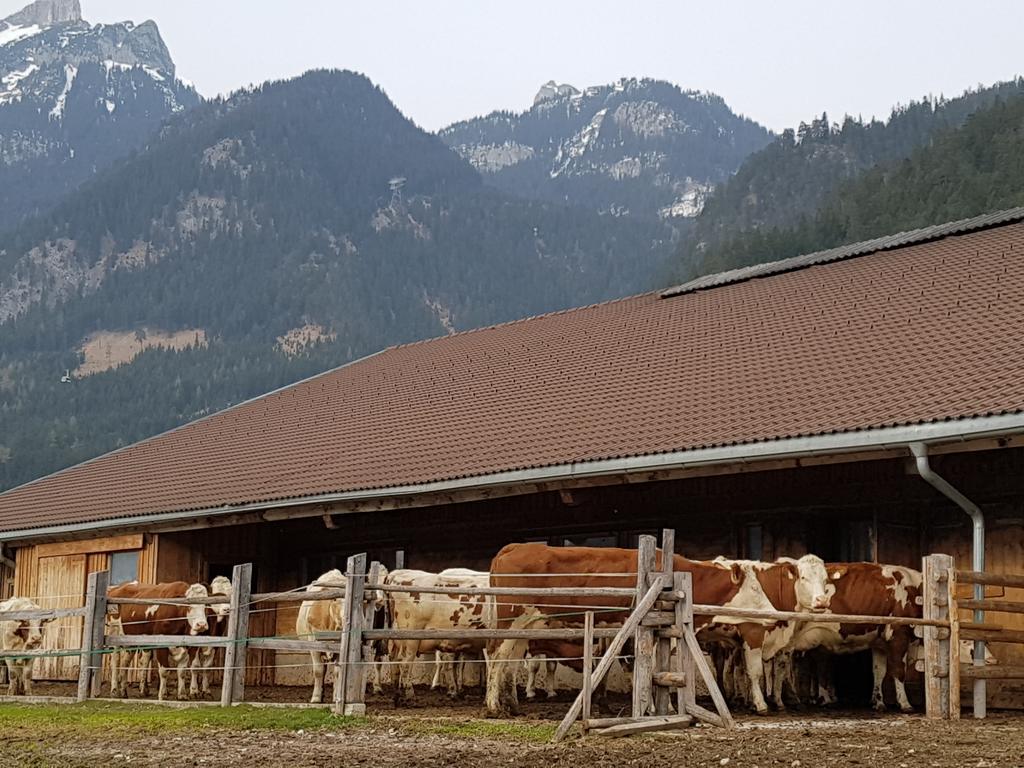 Haidacherhof Eben am Achensee Exterior foto